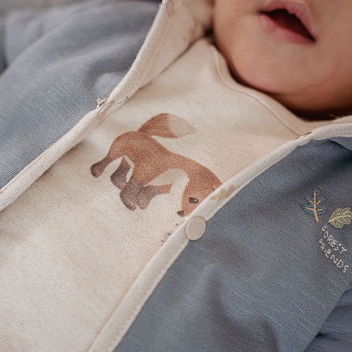 Shirt lange mouw - Zand - Forest Friends - Vosje