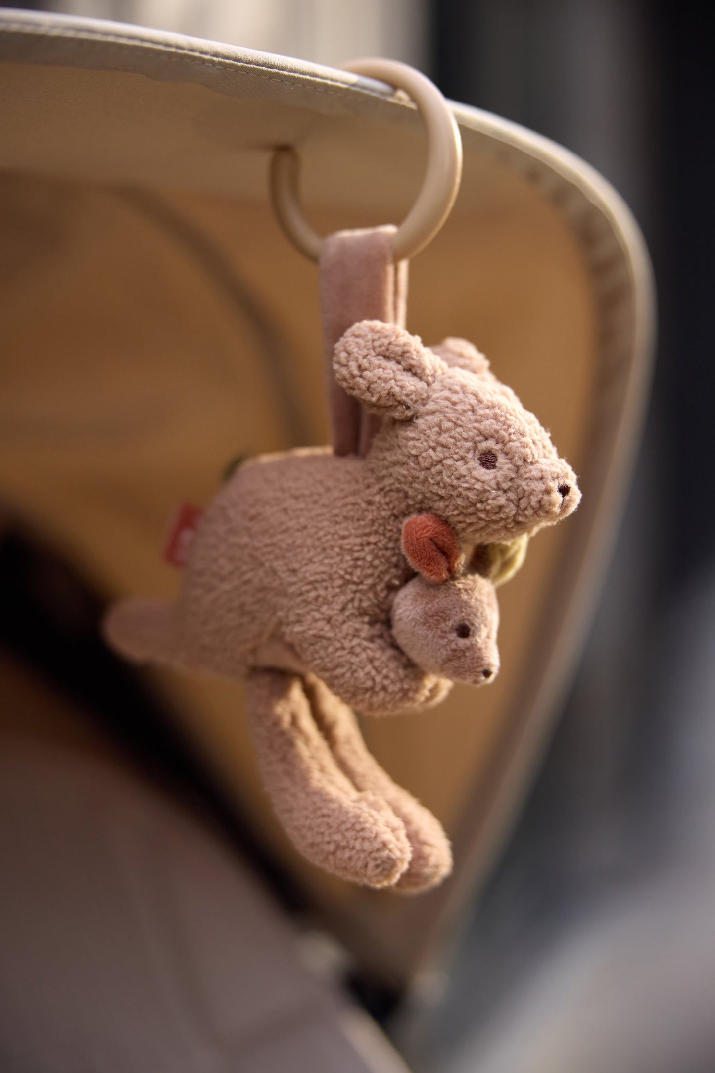 Wagenhanger - Kangaroots