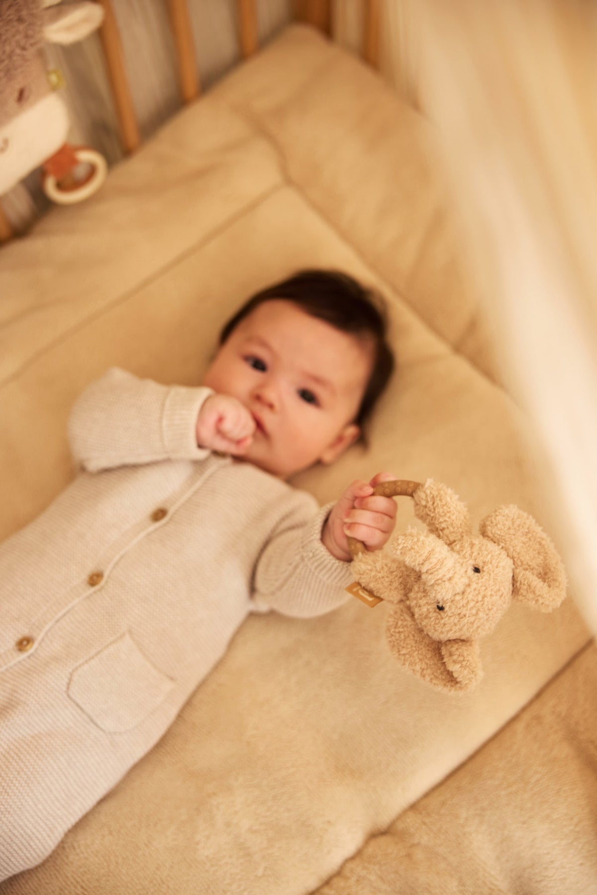 Bijtring - Jollies
