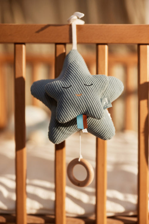 Muziekhanger Star - Sea Green