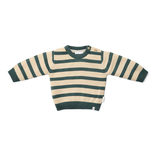 Gebreide trui - Groen - Forest Friends - Stripe