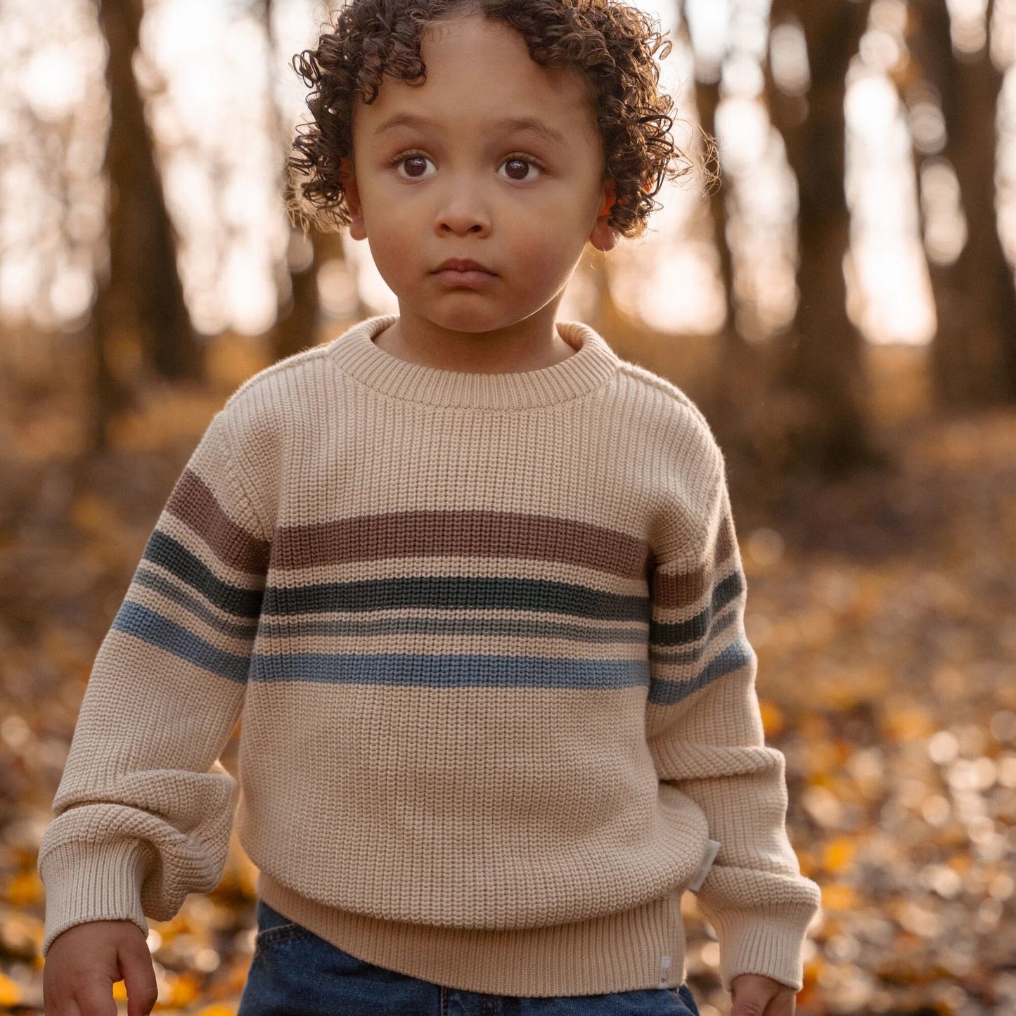 Gebreide trui - Zand - Forest Friends - Stripe