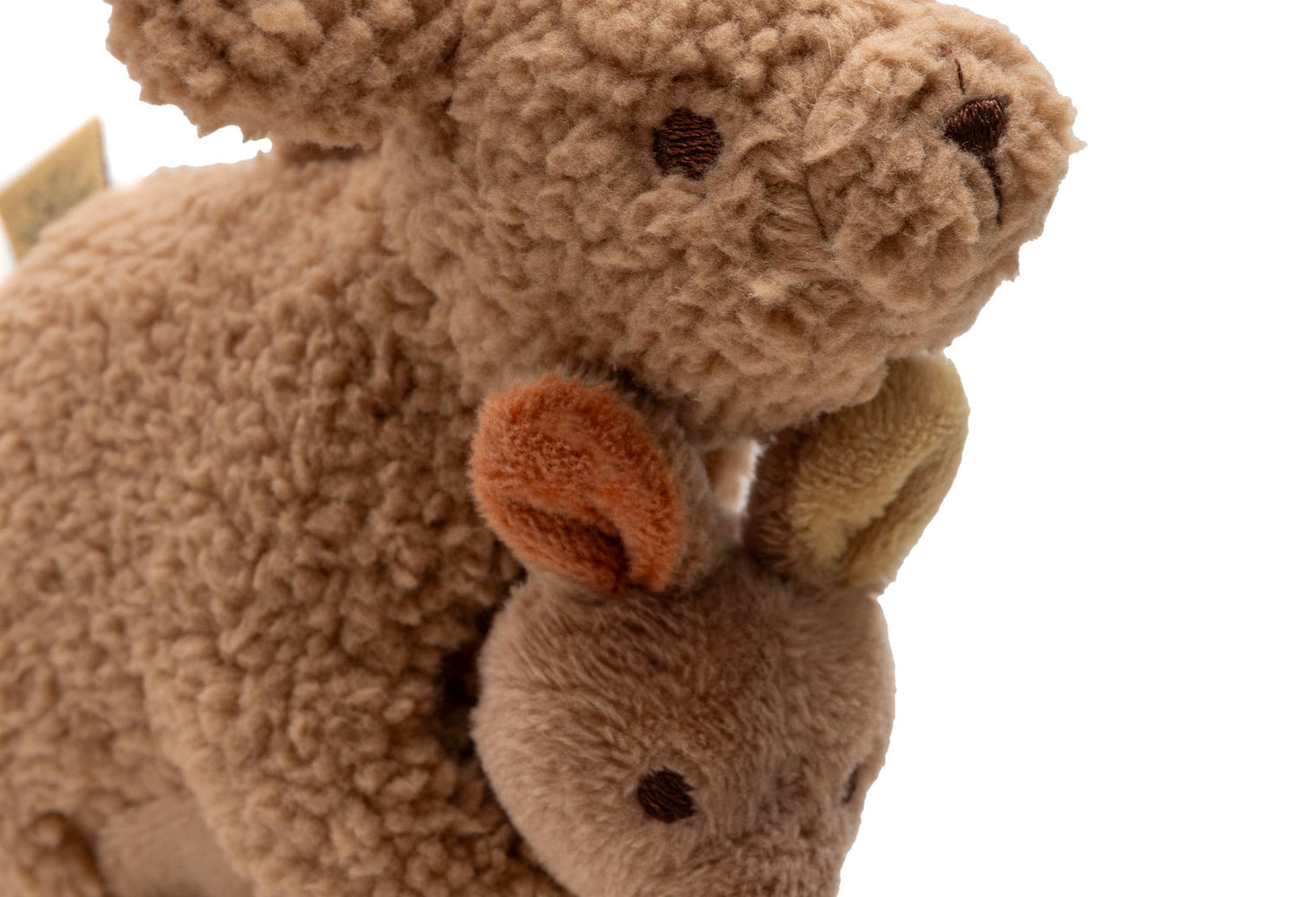 Wagenhanger - Kangaroots