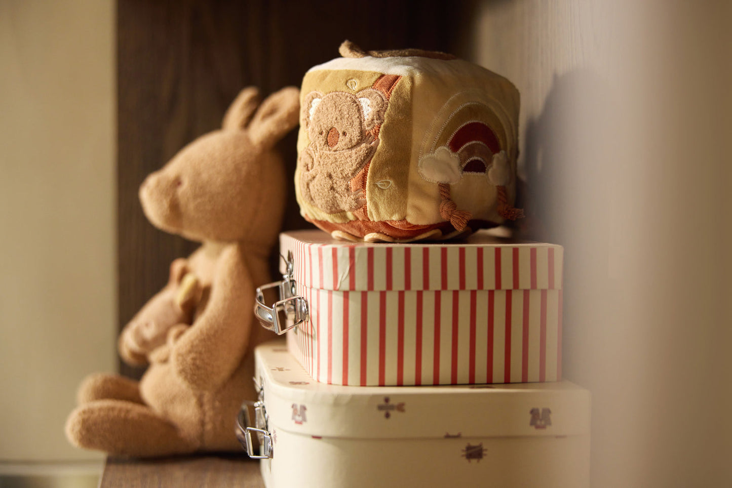 Activiteitenkubus - Kangaroots