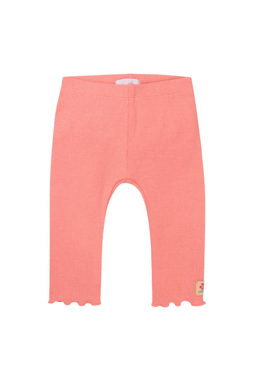 Legging Maeser Verkoper: