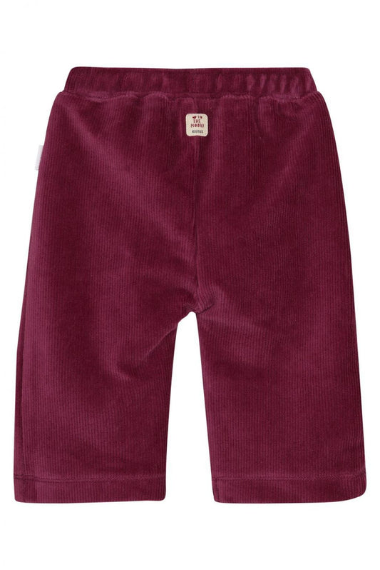 Broek Thayer - Baroque Rose