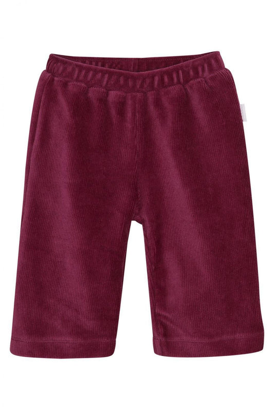 Broek Thayer - Baroque Rose