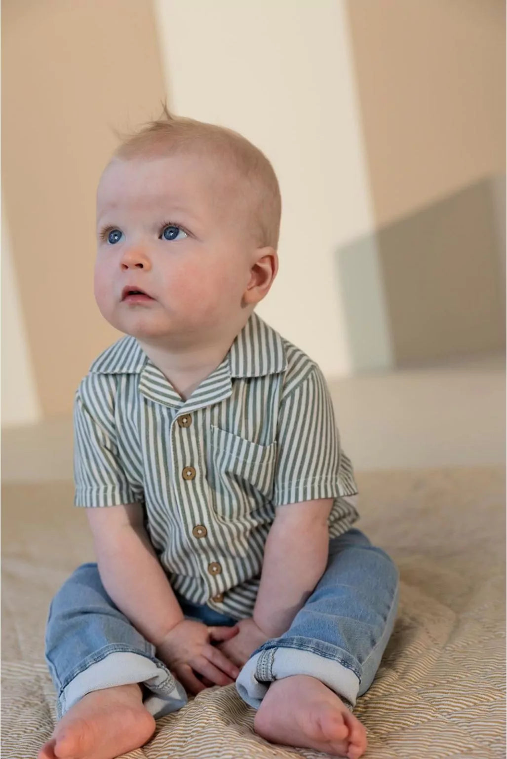 Overhemd stripe - Laurel Wreath