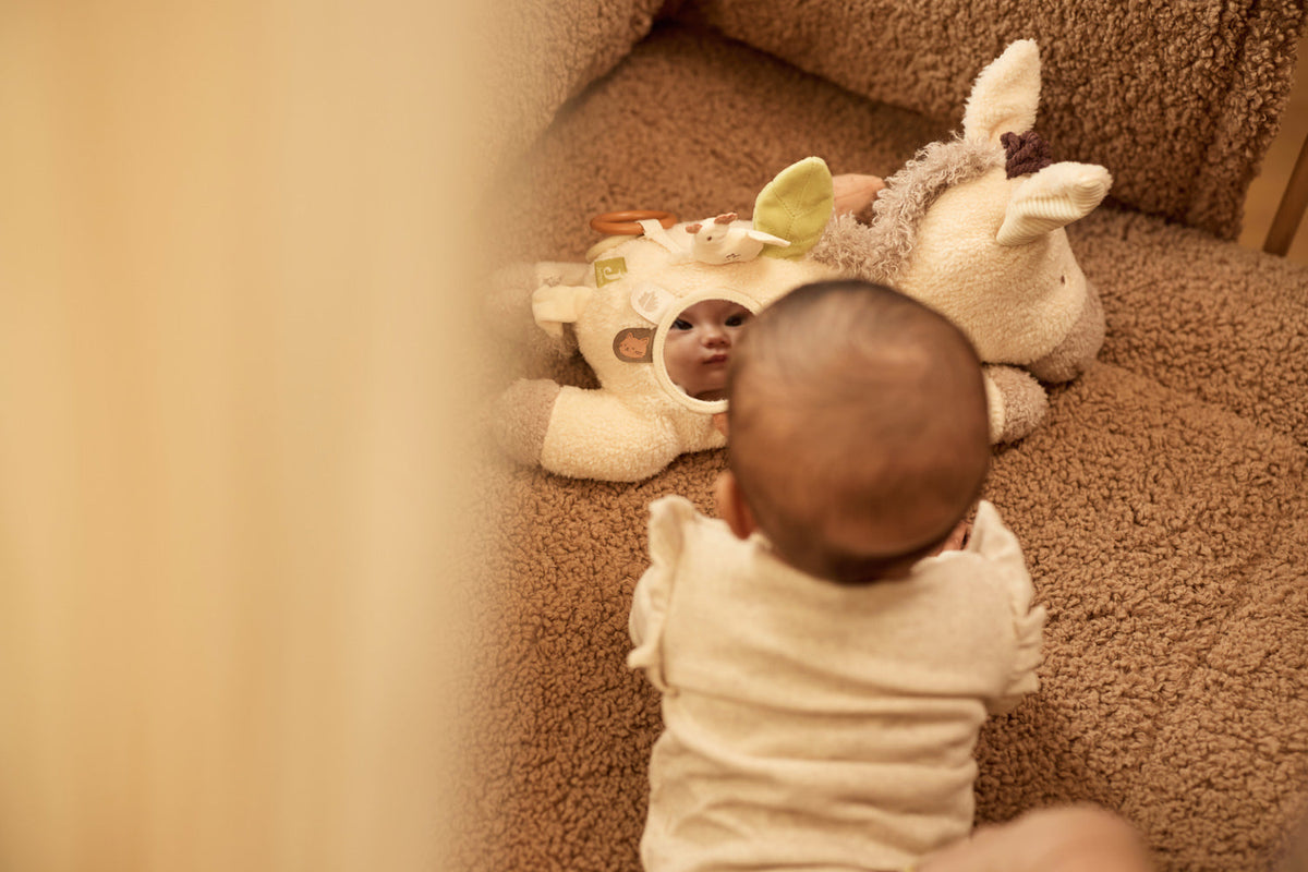Activiteiten Knuffel - Donkey Dinky