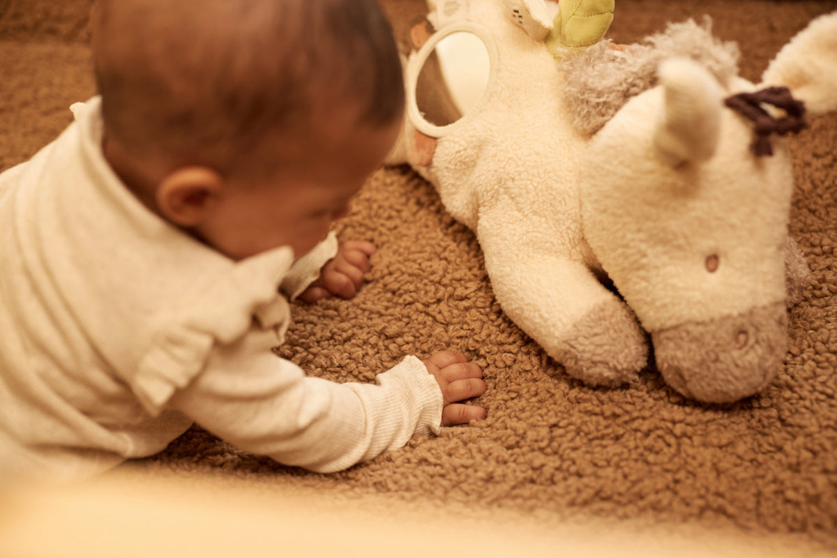 Activiteiten Knuffel - Donkey Dinky