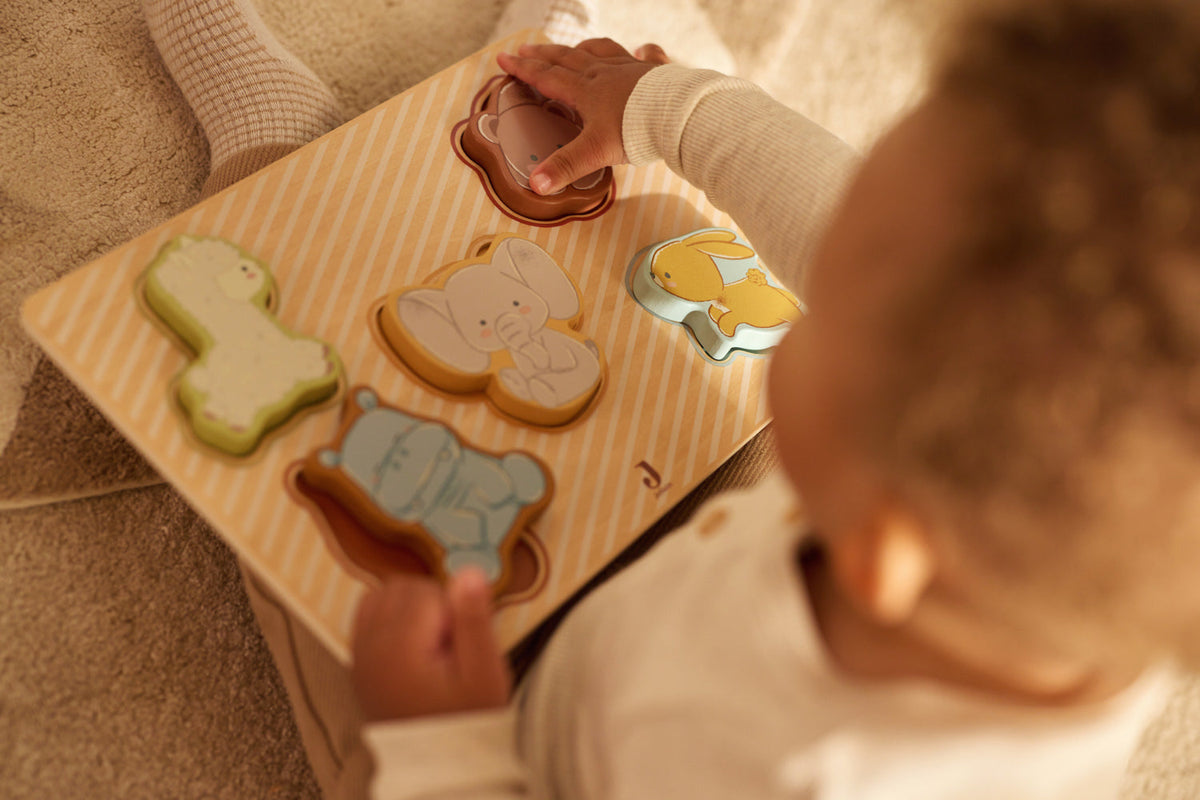 Houten Vormenpuzzel - Jollies