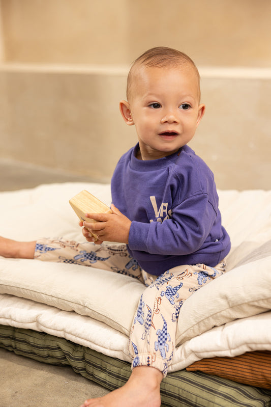 Ontario long sleeve sweater